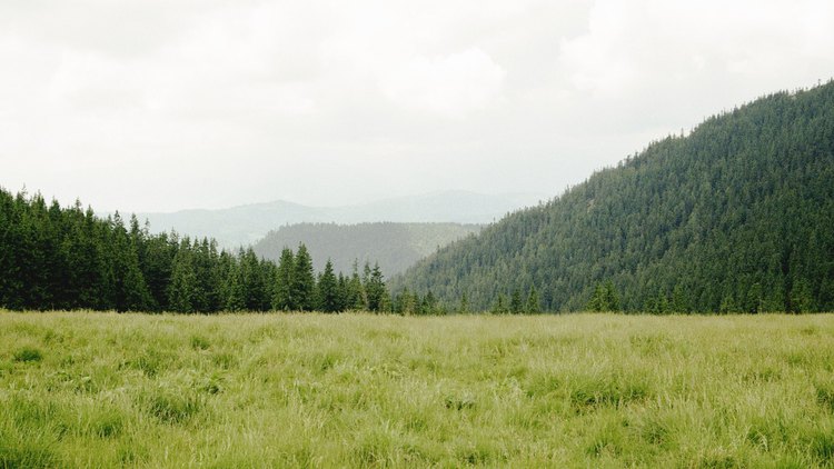 C&rsquo;est lancé !